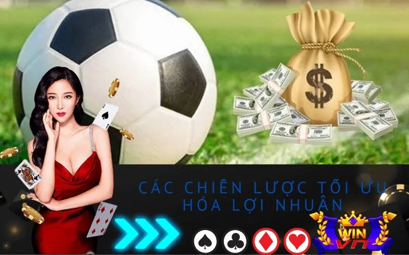 Các chiến lược tối ưu hóa lợi nhuận