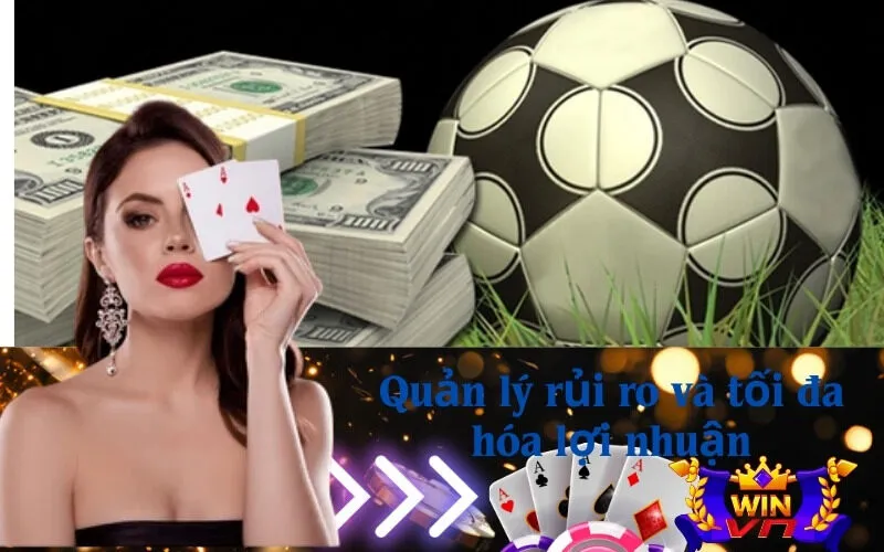 Quản lý rủi ro và tối đa hóa lợi nhuận